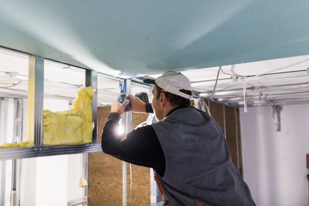 Best Crawl Space Insulation  in Langhorne, PA